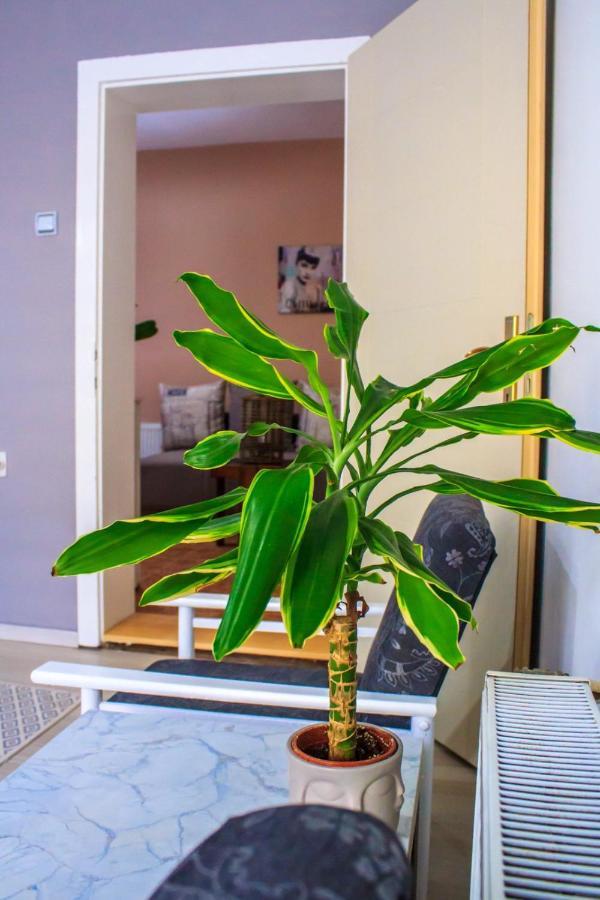 באינה באשטה Bb Downtown Apartment מראה חיצוני תמונה